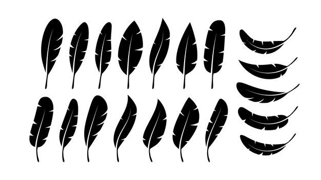 Icono de silueta de pluma de pluma de ave Ilustración de stock vectorial