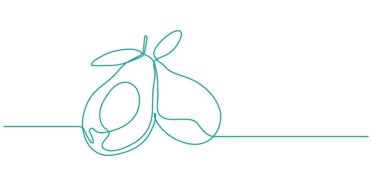 Vector icono de una sola línea de aguacate icono de una sola línea de aguacate fondo de dibujo de una línea dibujo de línea continua