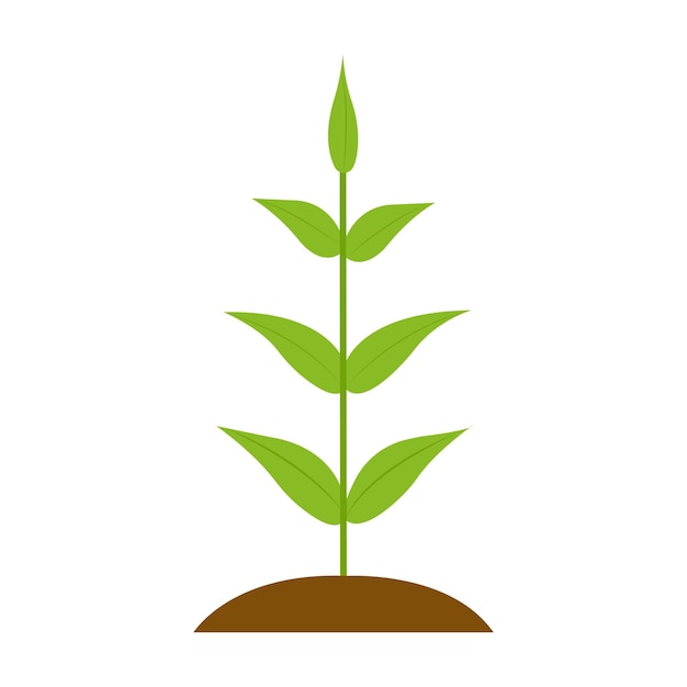 icono de una sola planta que se muestra sobre fondo blanco - icono de vector