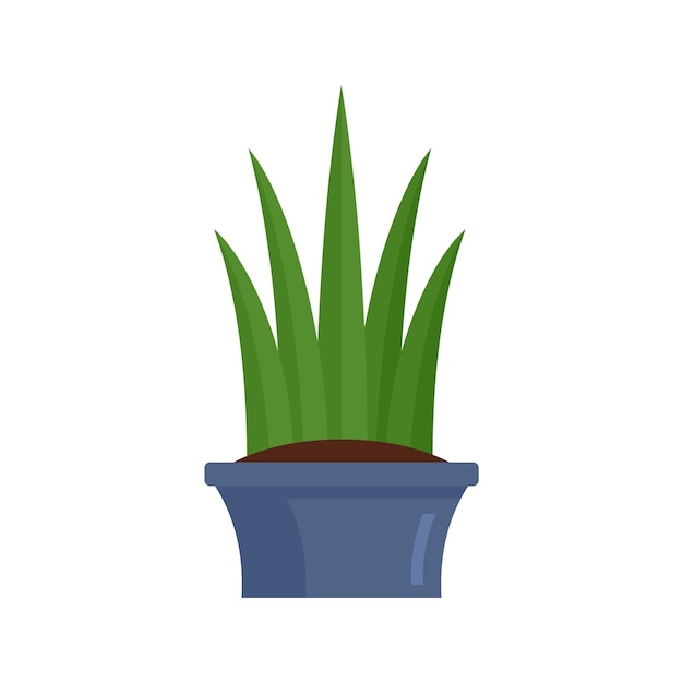 Icono de suculenta de hoja larga Ilustración plana de icono de vector de suculenta de hoja larga para diseño web
