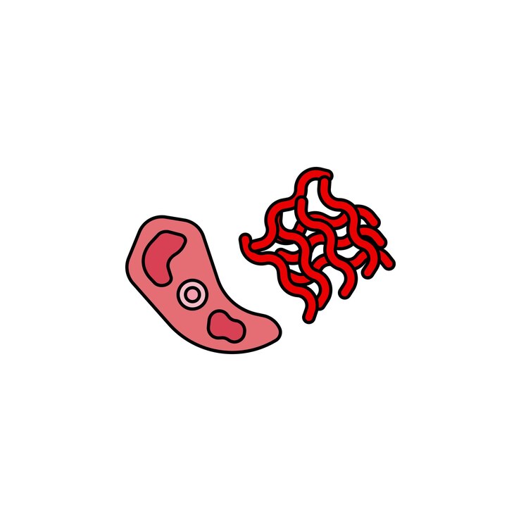 Vector icono del tipo de vector de la carne picada