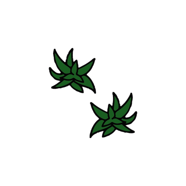 icono del tipo vectorial del aloe vera