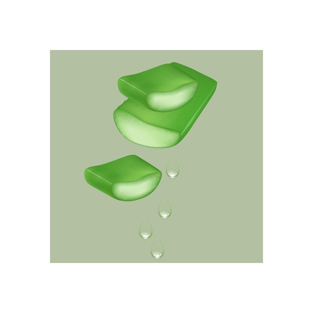 icono del tipo vectorial del aloe vera