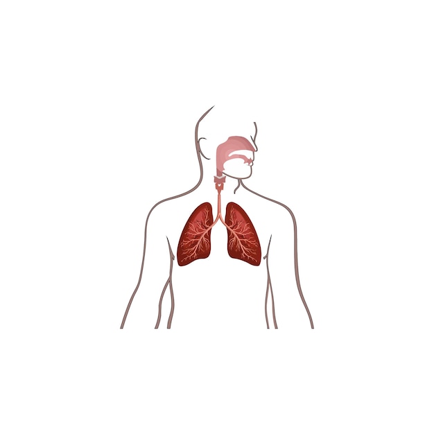 Icono de tipo vectorial de pulmones