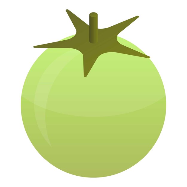 Icono de tomate verde Isométrico de icono de vector de tomate verde para diseño web aislado sobre fondo blanco