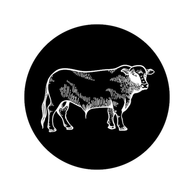 El icono del toro en un fondo negro espera un dibujo grabado para la agricultura, la cría de ganado y la carne de vacuno