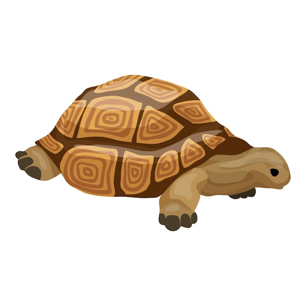 Icono de tortuga Caricatura de icono de vector de tortuga para diseño web aislado sobre fondo blanco