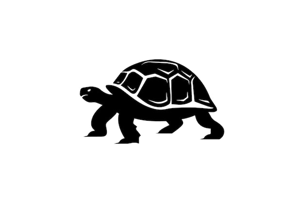 Vector icono de la tortuga gigante de aldabra