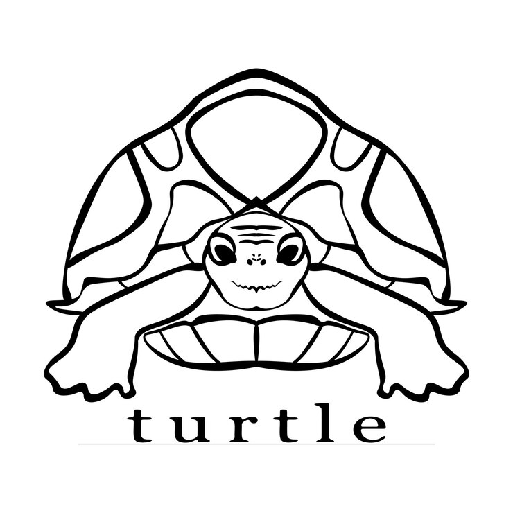 Vector icono de tortuga plana carta silueta fondo blanco objeto negro vida silvestre ilustración vectorial segura