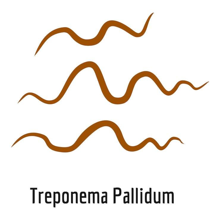 Vector icono de treponema pallidum ilustración de dibujos animados de icono de vector de treponema pallidum para web