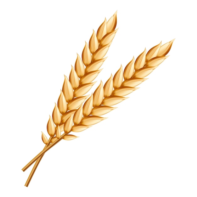 Icono de trigo Ilustración realista de icono de vector de trigo para diseño web aislado sobre fondo blanco
