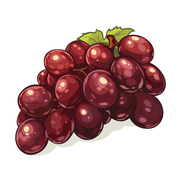 Ícono de uva vectorial Ilustración vectorial de uva roja con hoja aislada de fondo blanco Símbolo del logotipo de la uva de vino
