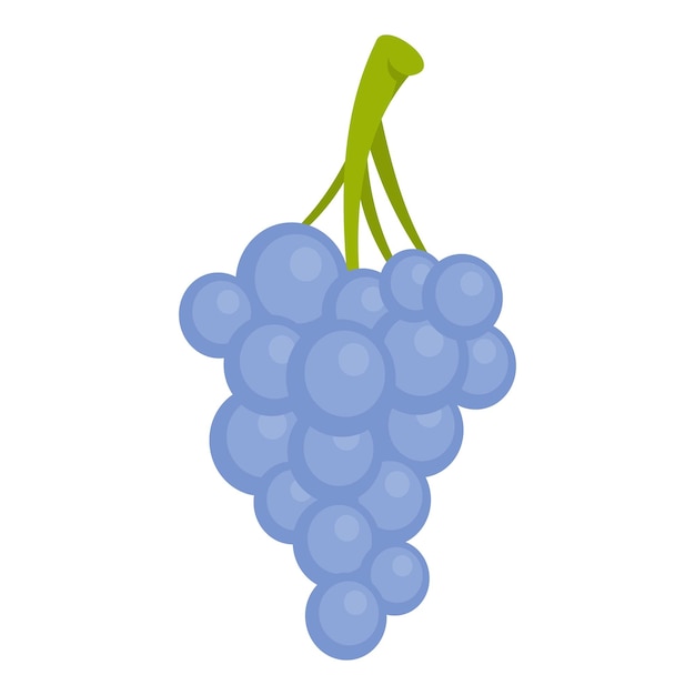 Icono de uvas isabella Ilustración de dibujos animados de icono de vector de uvas isabella para web