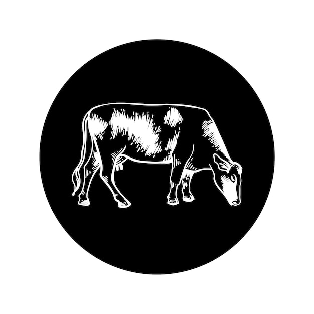 Icono de vaca sobre fondo negro Bosquejo de dibujo grabado Para agricultura leche y carne