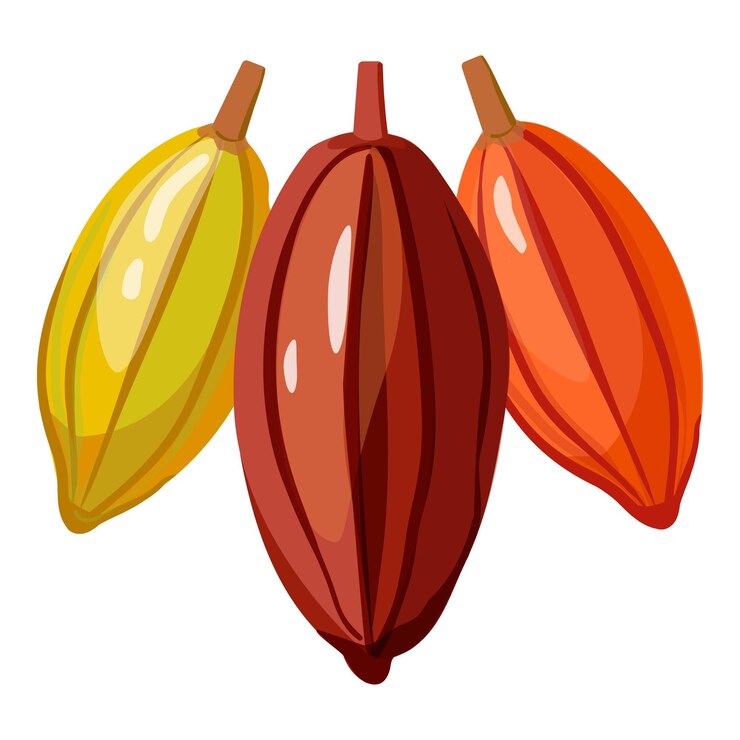 Icono de vaina de árbol de cacao vector de dibujos animados hoja de granja grano de cacao