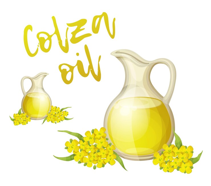 Vector el icono del vector del aceite de colza aislado en un fondo blanco botella de aceite limpio de colza con un montón de