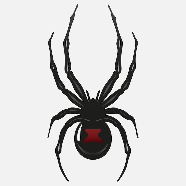 icono del vector de la araña1