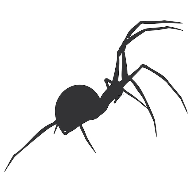 Icono del vector de la araña