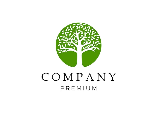 Icono de vector de árbol. Naturaleza árboles vector ilustración logo diseño.