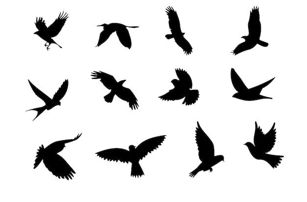 Icono de vector de aves