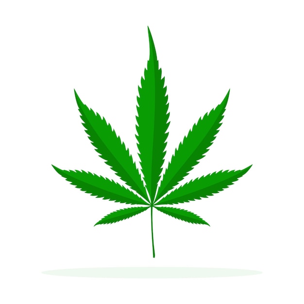 Vector icono de vector de cannabis aislado