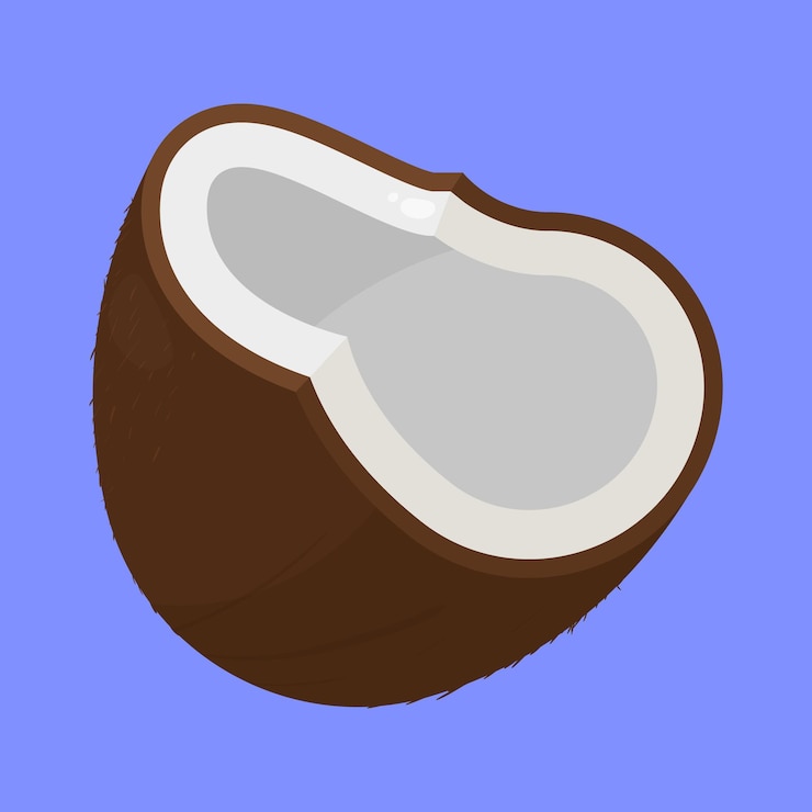 Vector icono del vector de coco fruto de coco fresco icono del vector de la fruta de coco icono del coco agrietado