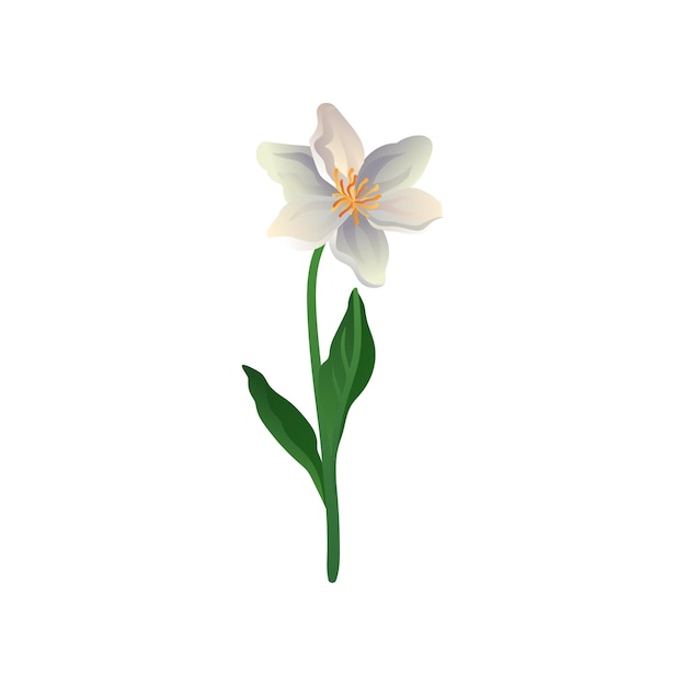 Icono de vector colorido de linda flor de primavera Lily con pétalos en colores degradados Elemento para postal de libro botánico o textil