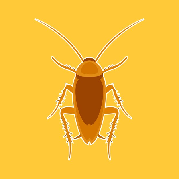 Icono de vector de cucaracha icono de vector realista aislado en fondo blanco cucaracha