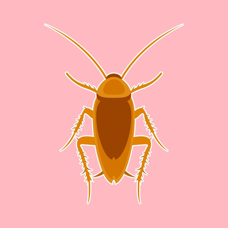 Vector icono de vector de cucaracha icono de vector realista aislado en fondo blanco cucaracha