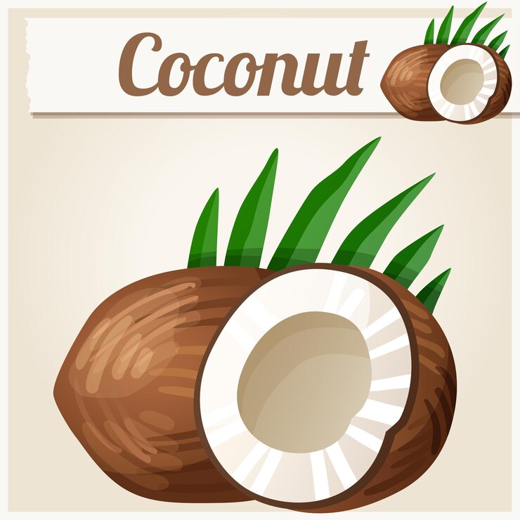 Vector icono de vector detallado de coco