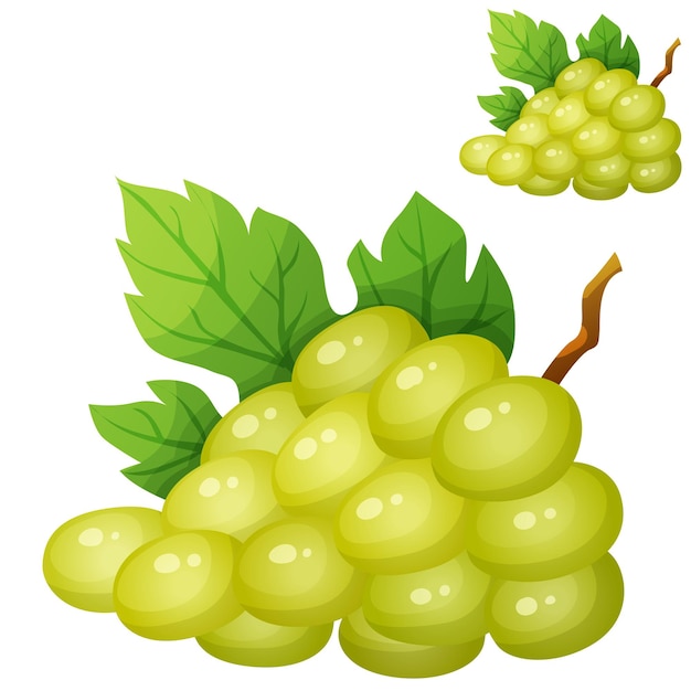 Icono de vector de dibujos animados de uva blanca aislado sobre fondo blanco