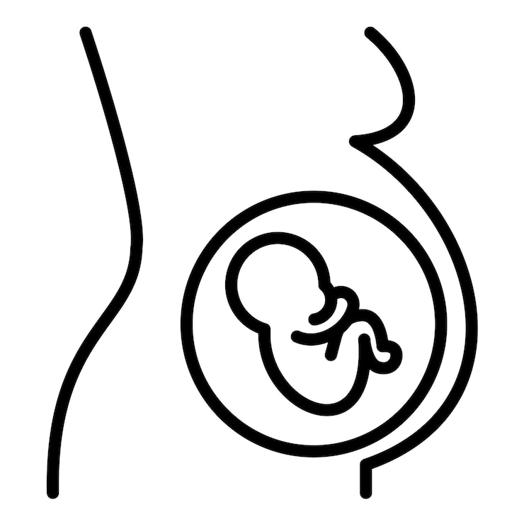 Vector el icono del vector del embarazo se puede utilizar para el conjunto de iconos de adopción de niños