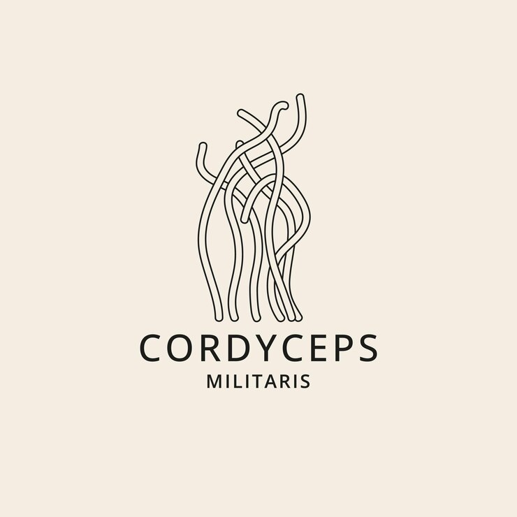 Icono de vector en estilo lineal champiñones cordyceps Signo de logotipo