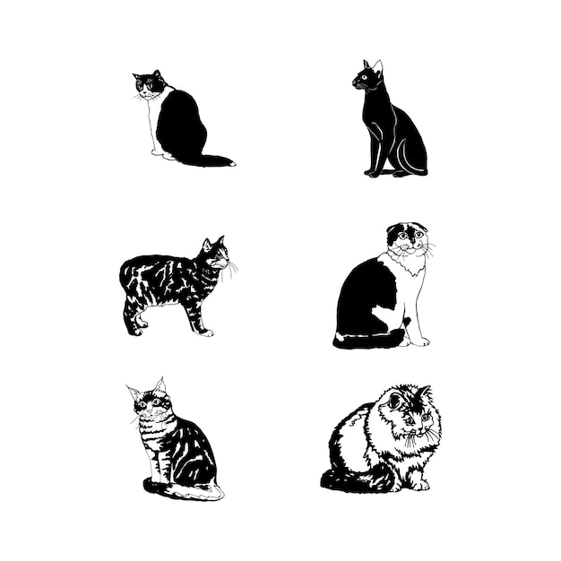 Icono de vector de gatos blanco y negro