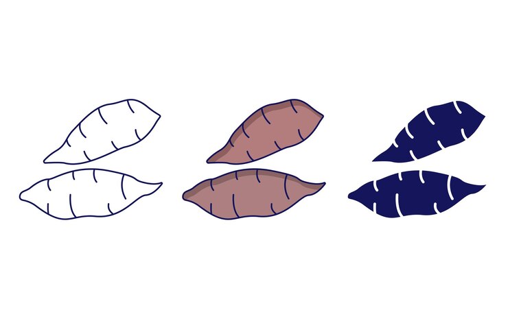 Vector icono de vector de patata dulce