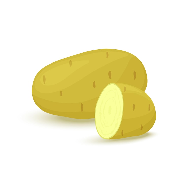 Vector icono de vector de patatas en estilo plano. objeto aislado. vegetal del huerto. estilo de vida saludable. alimentos orgánicos. ilustración vectorial.