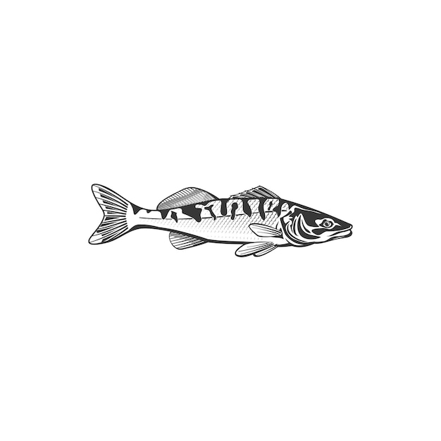 Icono de vector de pescado caballa criatura de agua salada