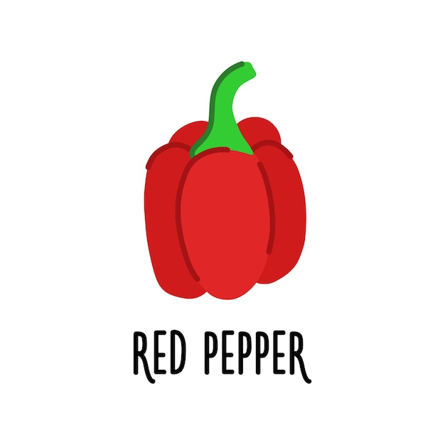 El icono del vector de pimiento rojo está aislado en un fondo blanco. Ilustración plana moderna simple.