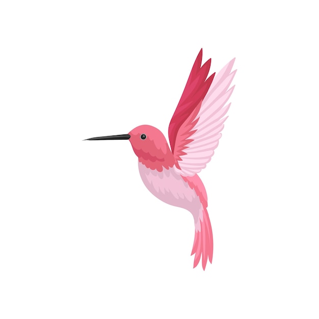 Vector icono de vector plano de colibrí volador colibri con plumas rosas y pico largo y delgado tema de vida silvestre y fauna