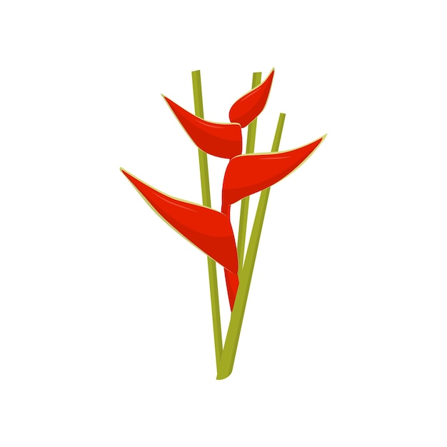 Icono de vector plano de flor de heliconia hermosa planta tropical tema botánico elemento para pancarta o póster promocional