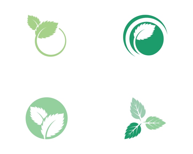 Icono de vector plano de hojas de menta