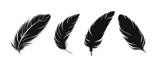 icono vector pluma negra conjunto de iconos pluma varias plumas aisladas en blanco