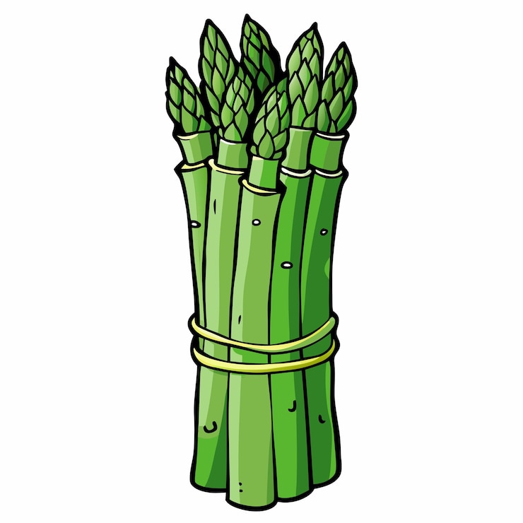 Vector icono vectorial de dibujos animados planos premium aislados ilustración de espárragos, verduras y alimentos icono de la naturaleza c
