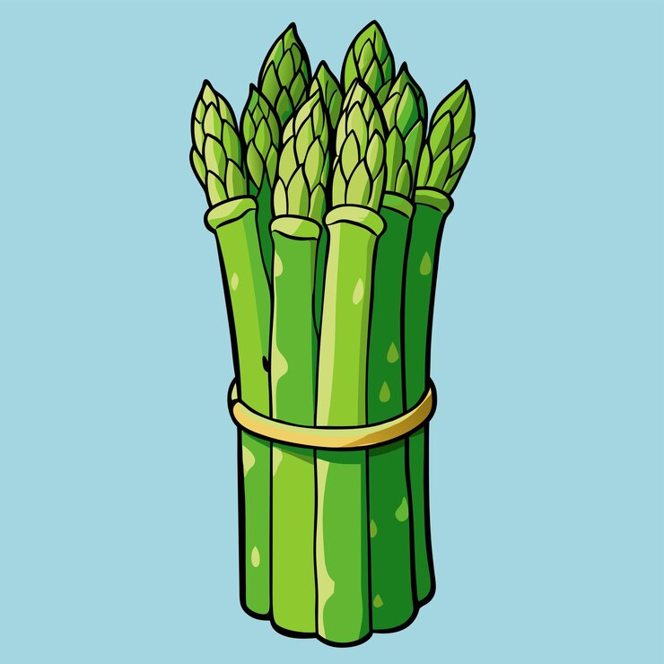 Vector icono vectorial de dibujos animados planos premium aislados ilustración de espárragos, verduras y alimentos icono de la naturaleza c