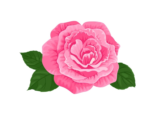 El icono vectorial de la flor de la rosa rosa