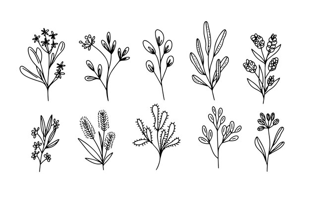 Icono vectorial de flor simple dibujos de contornos de plantas elemento silueta ilustración vectorial