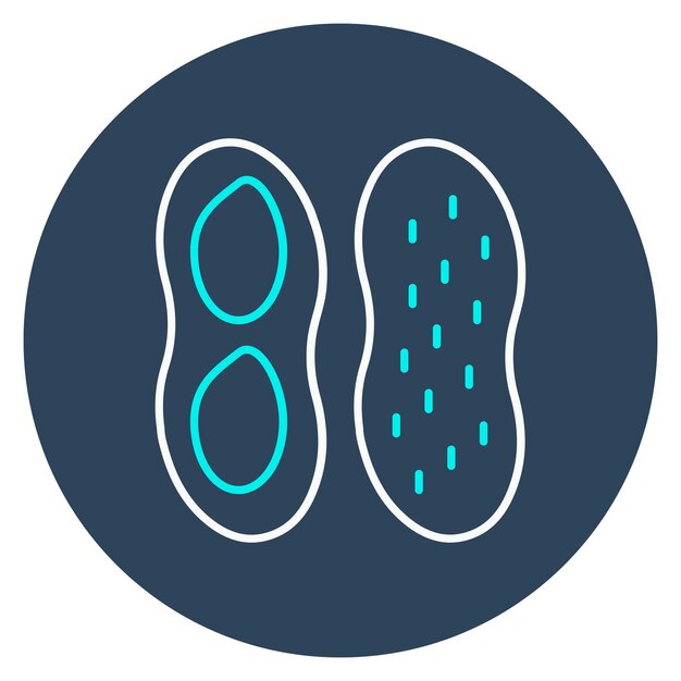El icono vectorial de maní se puede usar para el conjunto de iconos de frutas y verduras