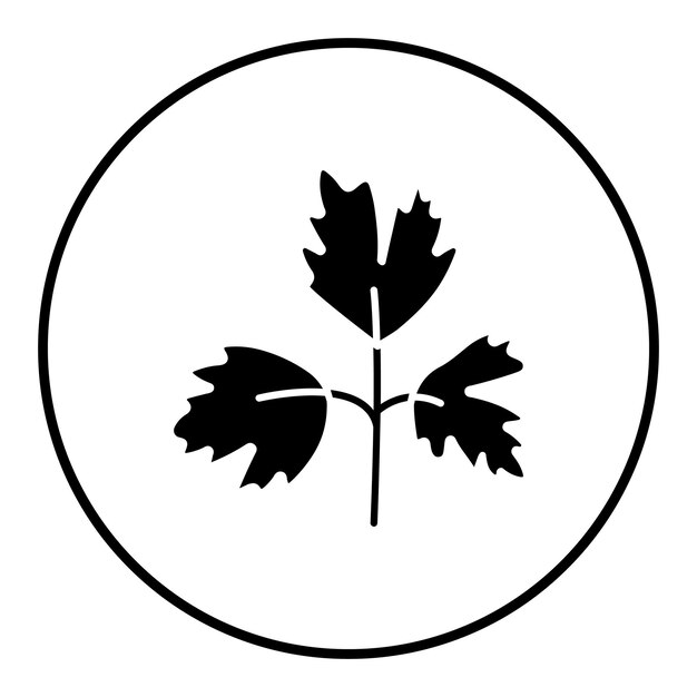 El icono vectorial de perejil se puede usar para el conjunto de iconos de frutas y verduras
