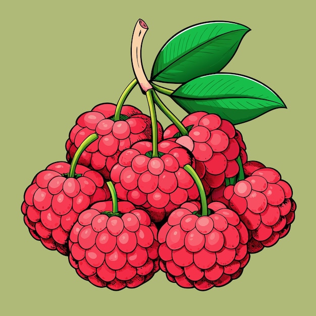 Ícono vectorial de un racimo de frutas de lychee saludable