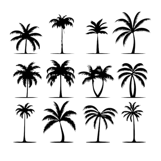 Icono vectorial de siluetas de palmeras aislado en fondo blanco